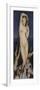 Venus Anadyomene-Jean-Auguste-Dominique Ingres-Framed Giclee Print