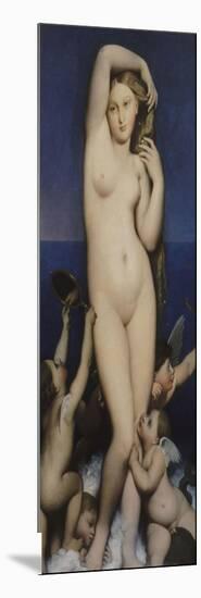 Venus Anadyomene-Jean-Auguste-Dominique Ingres-Mounted Giclee Print