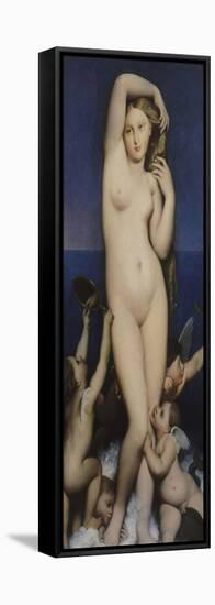 Venus Anadyomene-Jean-Auguste-Dominique Ingres-Framed Stretched Canvas