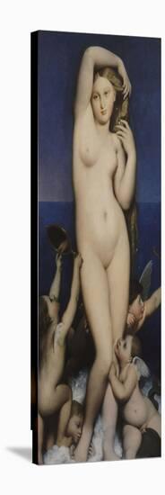 Venus Anadyomene-Jean-Auguste-Dominique Ingres-Stretched Canvas