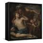 Venus and Adonis. 17Th Century (Oil on Canvas)-Pietro Liberi-Framed Stretched Canvas