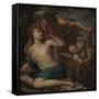 Venus and Adonis. 17Th Century (Oil on Canvas)-Pietro Liberi-Framed Stretched Canvas