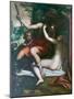 Venus and Adonis, before 1585, Luca Cambiaso (Oil on Canvas)-Luca Cambiaso-Mounted Giclee Print