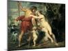 Venus and Adonis, C1630-Peter Paul Rubens-Mounted Giclee Print