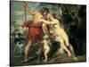 Venus and Adonis, C1630-Peter Paul Rubens-Stretched Canvas