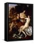 Venus and Adonis (Oil on Canvas)-Jan Mytens-Framed Stretched Canvas