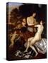 Venus and Adonis (Oil on Canvas)-Jan Mytens-Stretched Canvas