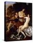 Venus and Adonis-Jan Mytens-Stretched Canvas