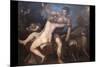 Venus and Adonis-Titian (Tiziano Vecelli)-Mounted Premium Giclee Print