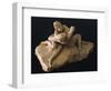 Venus and Adonis-Antonio Canova-Framed Giclee Print