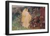 'Venus and Anchises', c1889, (c1915)-Sir William Blake Richmond-Framed Giclee Print