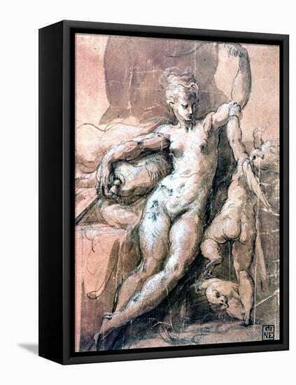 Venus and Child, C1513-1540-Parmigianino-Framed Stretched Canvas