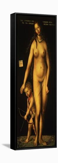 Venus and Cupid, 1509-Lucas Cranach the Elder-Framed Stretched Canvas