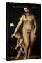 Venus and Cupid, 1509-Lucas Cranach the Elder-Stretched Canvas