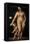 Venus and Cupid, 1509-Lucas Cranach the Elder-Framed Stretched Canvas