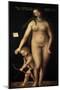 Venus and Cupid, 1509-Lucas Cranach the Elder-Mounted Giclee Print