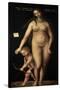 Venus and Cupid, 1509-Lucas Cranach the Elder-Stretched Canvas