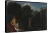 Venus and Cupid, 1600-05-Adam Elsheimer-Framed Stretched Canvas