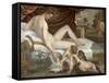 Venus and Cupid, c.1555-Lambert Sustris-Framed Stretched Canvas