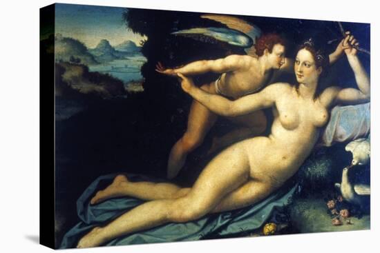 Venus and Cupid, Mid 16th Century-Agnolo Bronzino-Stretched Canvas