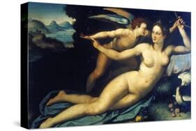 Venus and Cupid, Mid 16th Century-Agnolo Bronzino-Stretched Canvas