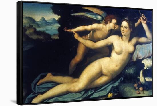 Venus and Cupid, Mid 16th Century-Agnolo Bronzino-Framed Stretched Canvas