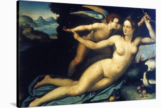 Venus and Cupid, Mid 16th Century-Agnolo Bronzino-Stretched Canvas