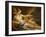 Venus and Cupid-Giovanni Antonio Pellegrini-Framed Giclee Print