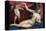 Venus and Cupid-Lorenzo Lotto-Stretched Canvas