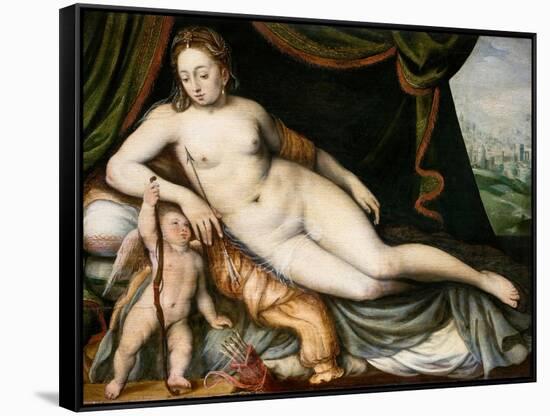 Venus and Cupid-Frans Floris the Elder-Framed Stretched Canvas