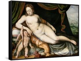 Venus and Cupid-Frans Floris the Elder-Framed Stretched Canvas