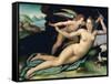 Venus and Cupid-Alessandro Allori-Framed Stretched Canvas