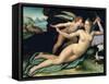 Venus and Cupid-Alessandro Allori-Framed Stretched Canvas