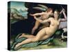 Venus and Cupid-Alessandro Allori-Stretched Canvas