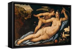 Venus and Cupid-Alessandro Allori-Framed Stretched Canvas