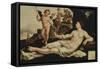 Venus and Cupid-Maerten Van Heemskerk-Framed Stretched Canvas