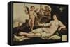 Venus and Cupid-Maerten Van Heemskerk-Framed Stretched Canvas