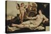 Venus and Cupid-Maerten Van Heemskerk-Stretched Canvas