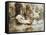 Venus and Her Nymphs-Ebenezer Wake Cook-Framed Stretched Canvas