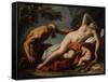 Venus and Satyr - Peinture De Sebastiano Ricci (1659-1734) - 1716-1720 - Oil on Canvas - 102X125,5-Sebastiano Ricci-Framed Stretched Canvas