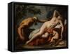 Venus and Satyr - Peinture De Sebastiano Ricci (1659-1734) - 1716-1720 - Oil on Canvas - 102X125,5-Sebastiano Ricci-Framed Stretched Canvas