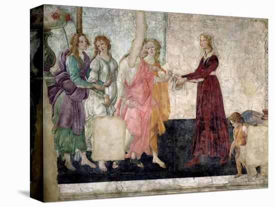 Venus and the Graces Offering Gifts to a Young Girl, 1486-Sandro Botticelli-Stretched Canvas