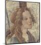 Venus and the Three Graces I (detail)-Sandro Botticelli-Mounted Art Print