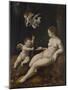 Venus and Two Cupids, C.1528 (Oil on Panel)-Jan van Scorel-Mounted Giclee Print