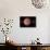 Venus, Artwork-null-Photographic Print displayed on a wall