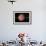 Venus, Artwork-null-Framed Photographic Print displayed on a wall