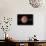 Venus, Artwork-null-Framed Stretched Canvas displayed on a wall
