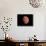 Venus, Artwork-null-Framed Stretched Canvas displayed on a wall