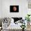 Venus, Artwork-null-Framed Stretched Canvas displayed on a wall