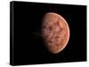 Venus, Artwork-null-Framed Stretched Canvas